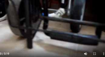How to make a wheelchair for dogs and cats?