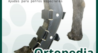 Cómo utilizar las férulas caninas