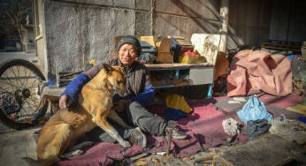 Dog helps its owner in a wheelchair