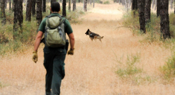 The Civil Guard detains two brothers from León accused of hanging several dogs