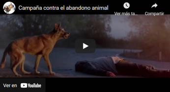 Shocking French campaign against dog abandonment