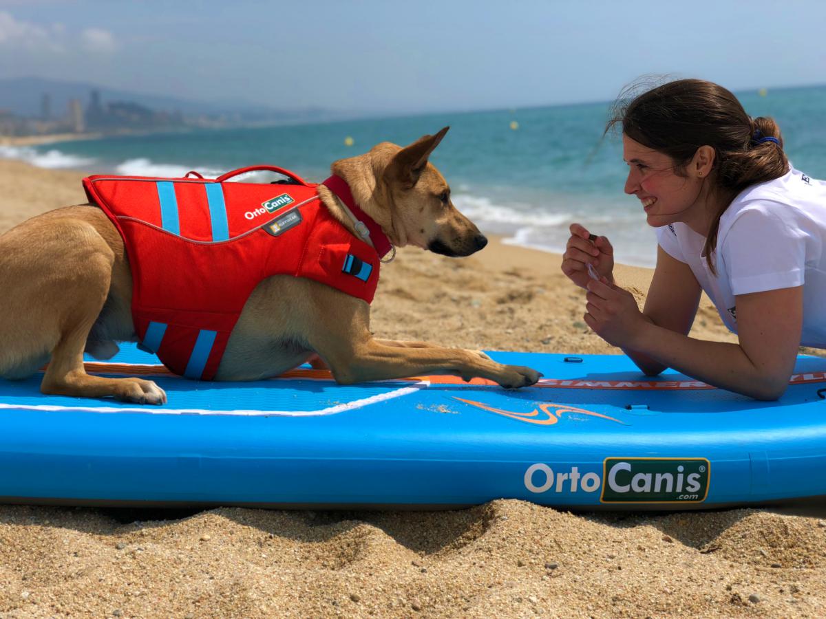 Paddle Surf con perros