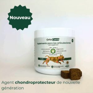 Nouveau complément chondroprotecteur pour chiens à base d'oméga 3
