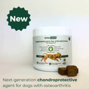 New Chondroprotective agent for dogs with Omega 3