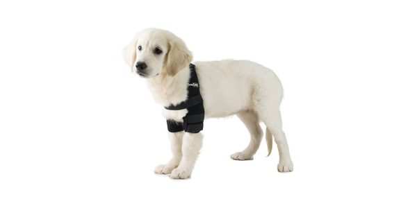 Ayudas para perros con problemas en las patas delanteras, codo o carpo