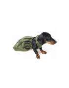 Transport und Training