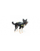 Harnesses for handicapped dogs