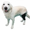 Hund bandage - Vertrauen Sie dem Testsieger der Experten