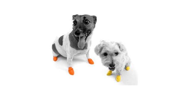 Scarpe protettive e ortopediche per cani