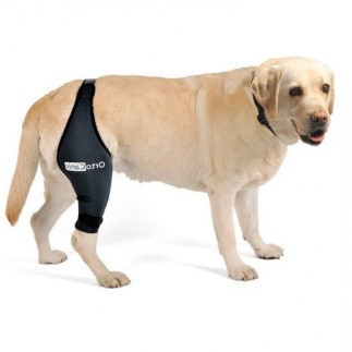 Hundeknie