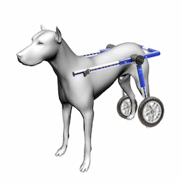 Dog Wheelchair