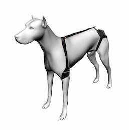 Arnés para perro