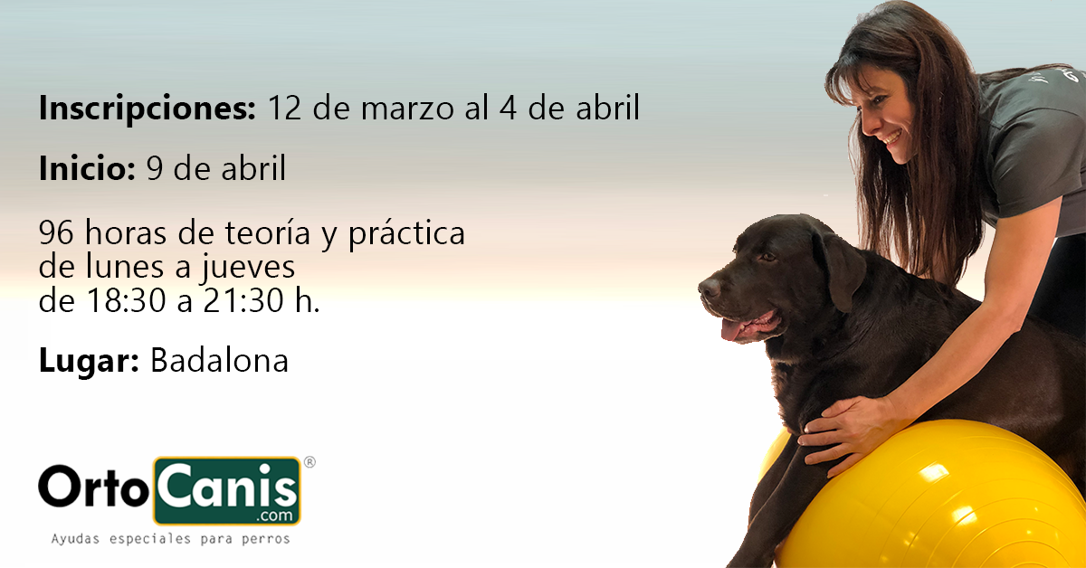 Curso de rehabilitación veterinaria