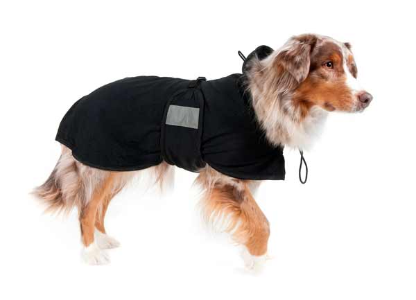 Back on Track thermal jacket for Agility Dogs