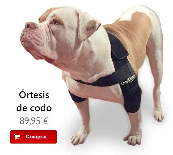 órtesis de codo para perros con displasia en el codo