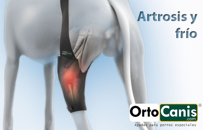 protector de joelho osteoartrite