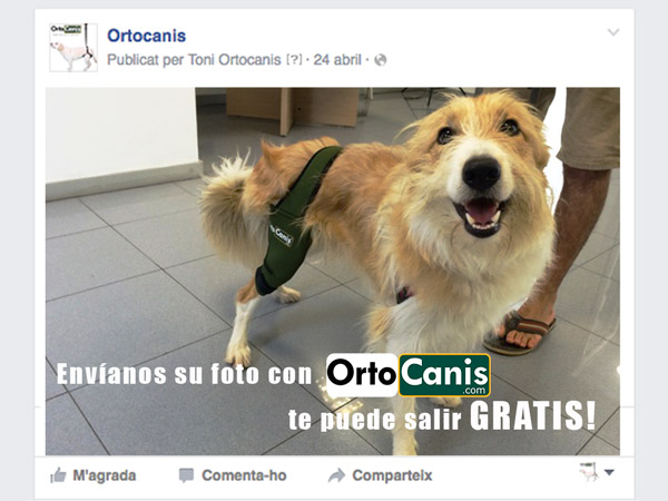 Ortocanis de gratis