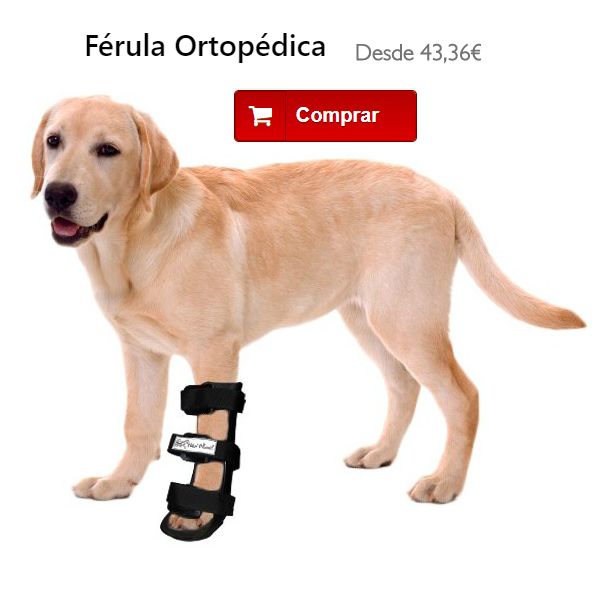 Ferula para perro