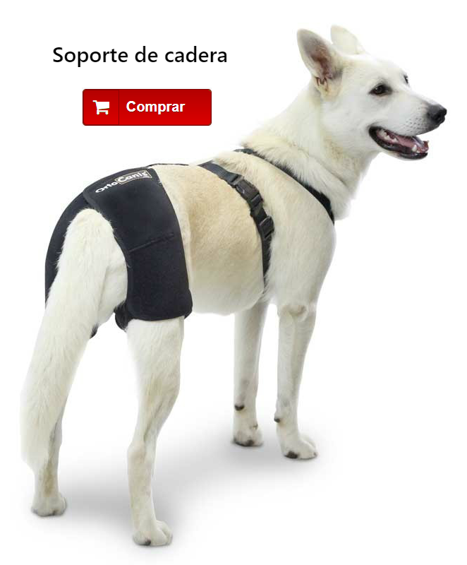 Soporte de cadera para perro con displasia