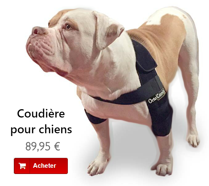 Coudiere pour chiens