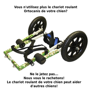 Rachat du chariot roulant pour chien Ortocanis