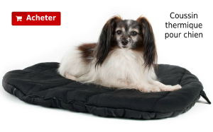 Coussin thermique pour chien