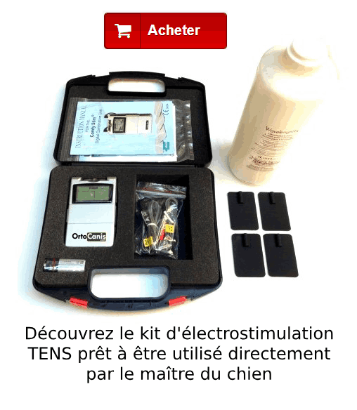 Kit TENS électrothérapie pour chien à domicile