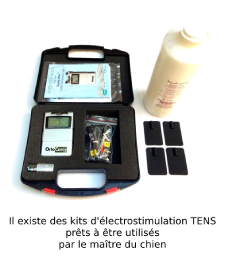 Pack TENS électrostimulation pour chien