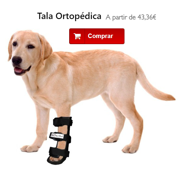 tala para pata dianteira do cão