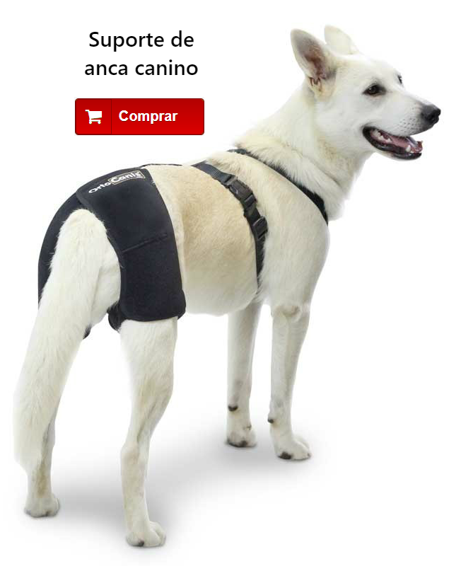 suporte de anca para displasia da anca em caes