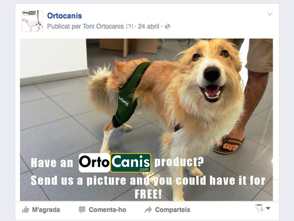 Ortocanis for free