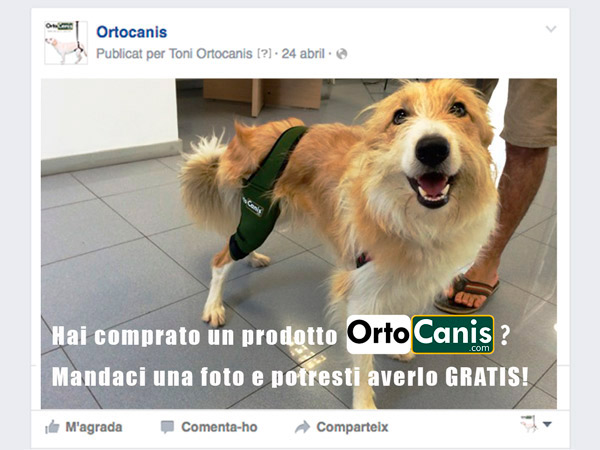 Ortocanis gratis