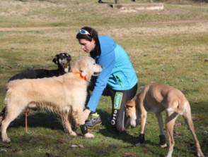 corsa con cani da slitta