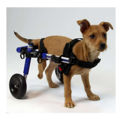 Dog Wheelchair