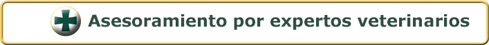 Assessorament veterinari expert