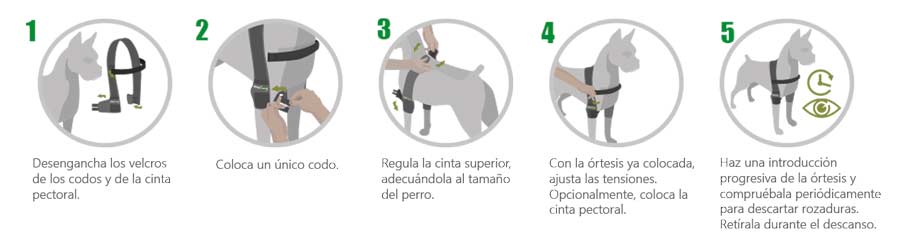 "instruccions