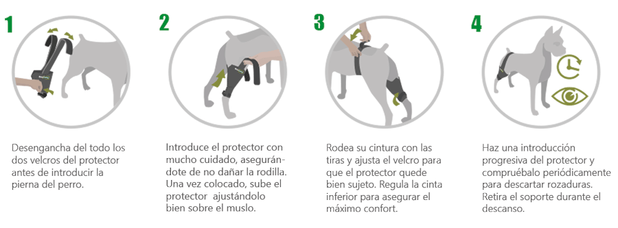 Protector de rodilla a medida perro con artrosis