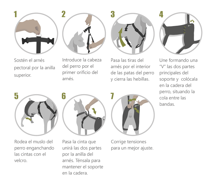 instrucciones soporte de cadera