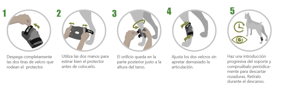 Instrucciones soporte de tarso