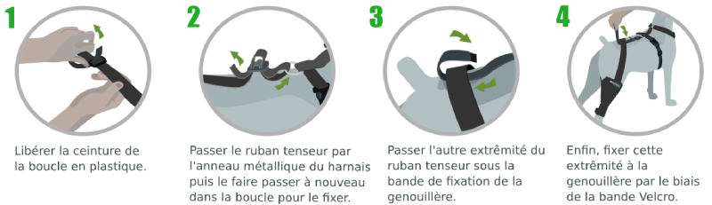 Instructions Ceinture de soutien pour genouillère