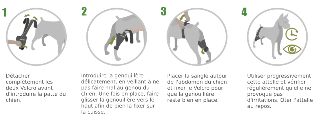 genouillère sur mesure pour chien