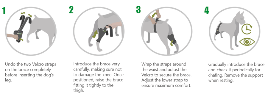 diy dog leg brace
