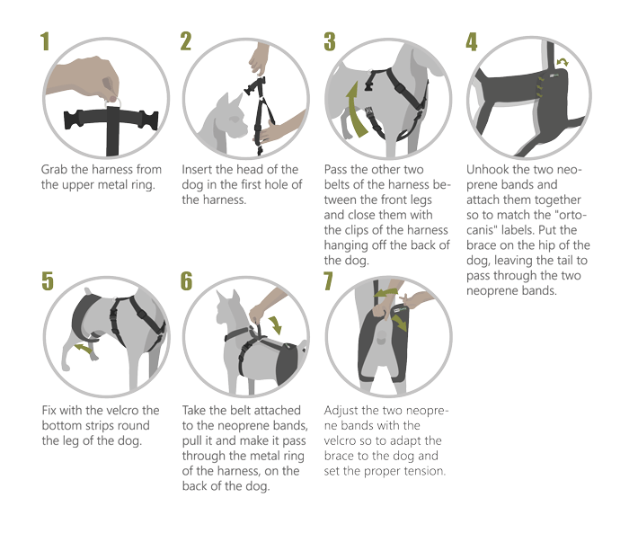 Instrucciones ortesis de cadera y espalda