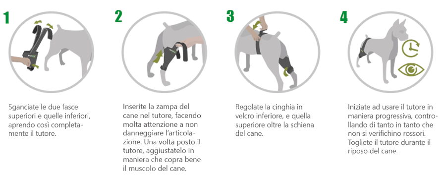 Ginocchiera per cane