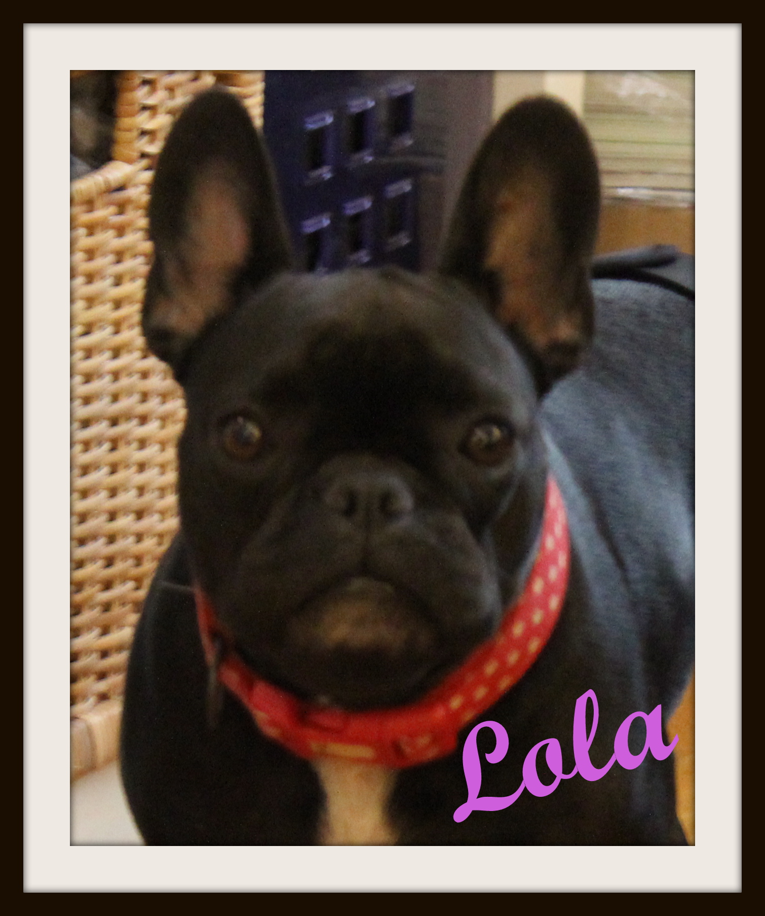 Lola