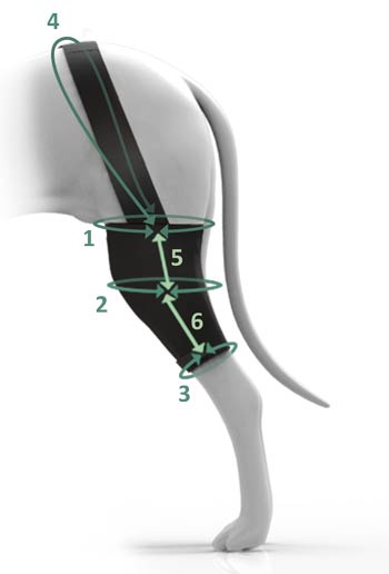 Medidas protector de Rodilla