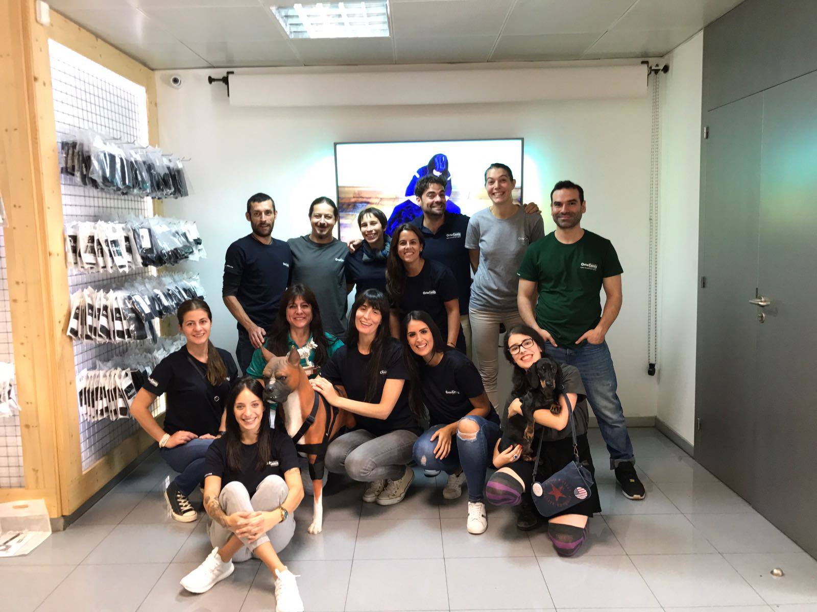 Ortocanis office 