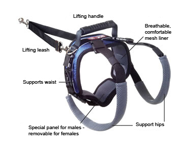 Sections of rear only assisted support harness