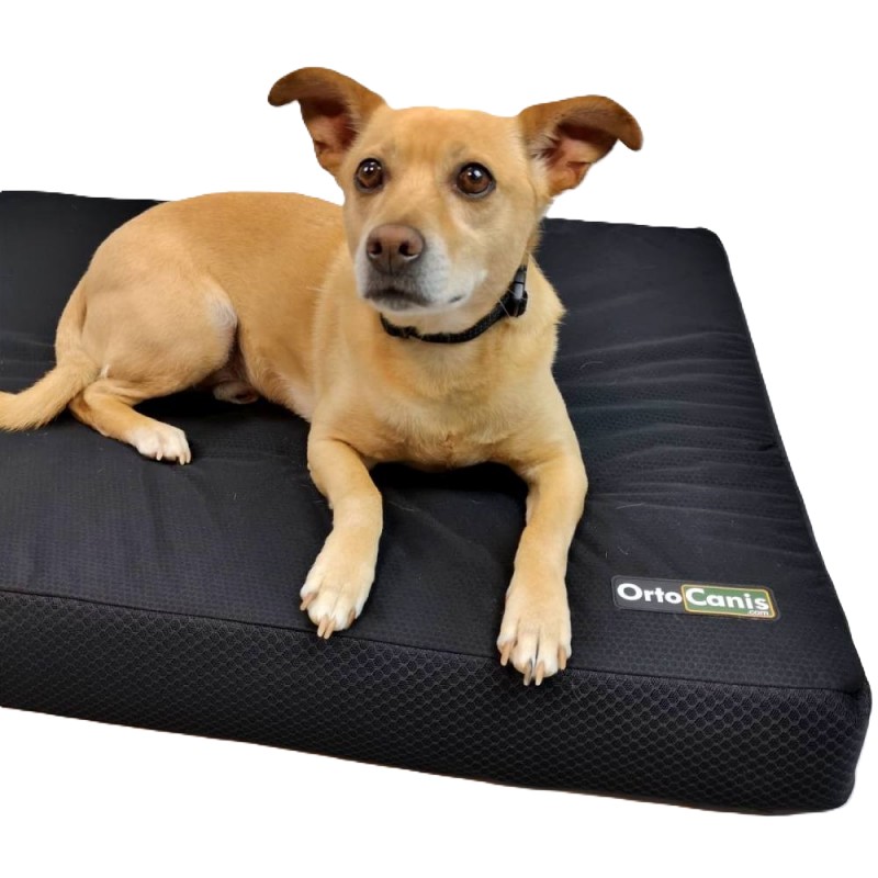 colchon-ortopedico-perro_1.jpg