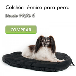 Orthopedic mattress for dogs